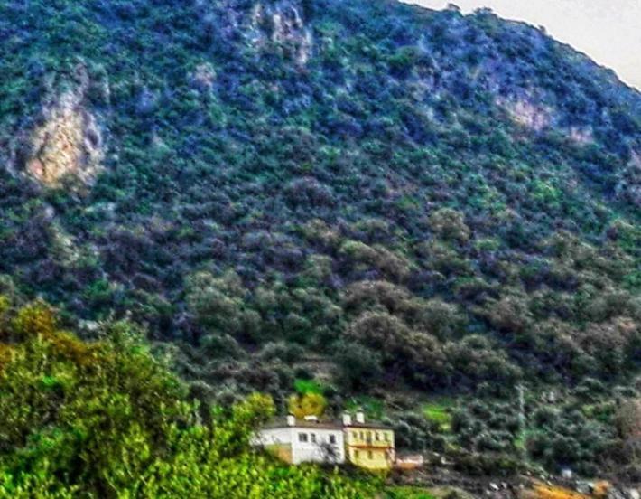 La Buhardilla De Torrecillas Ель-Боске Екстер'єр фото
